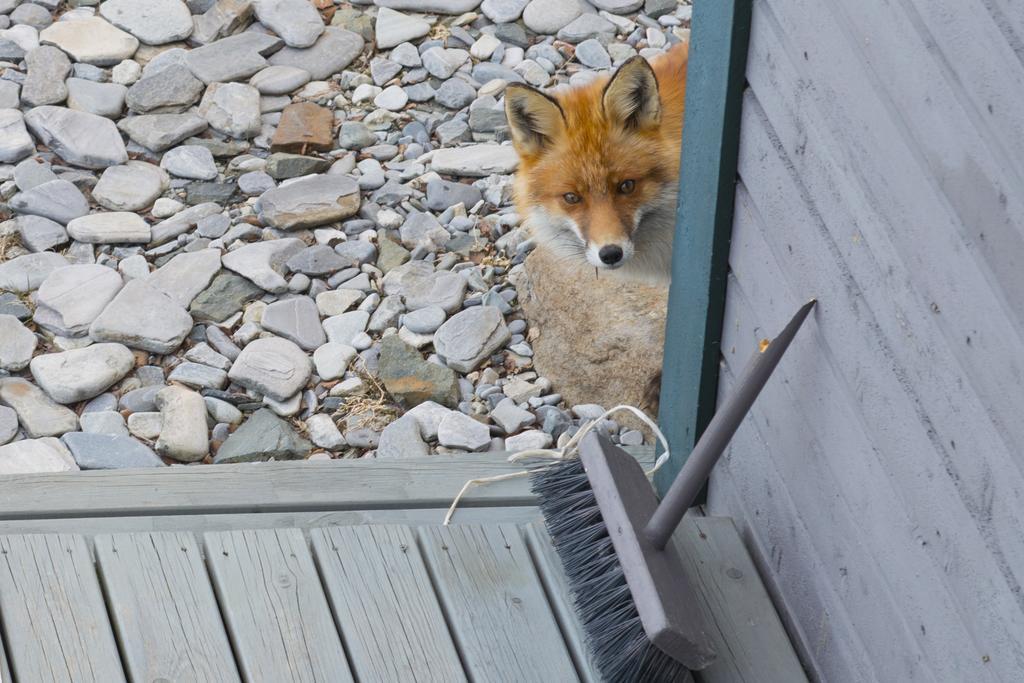 Rivdnji Smorfjord Сasa de vacaciones