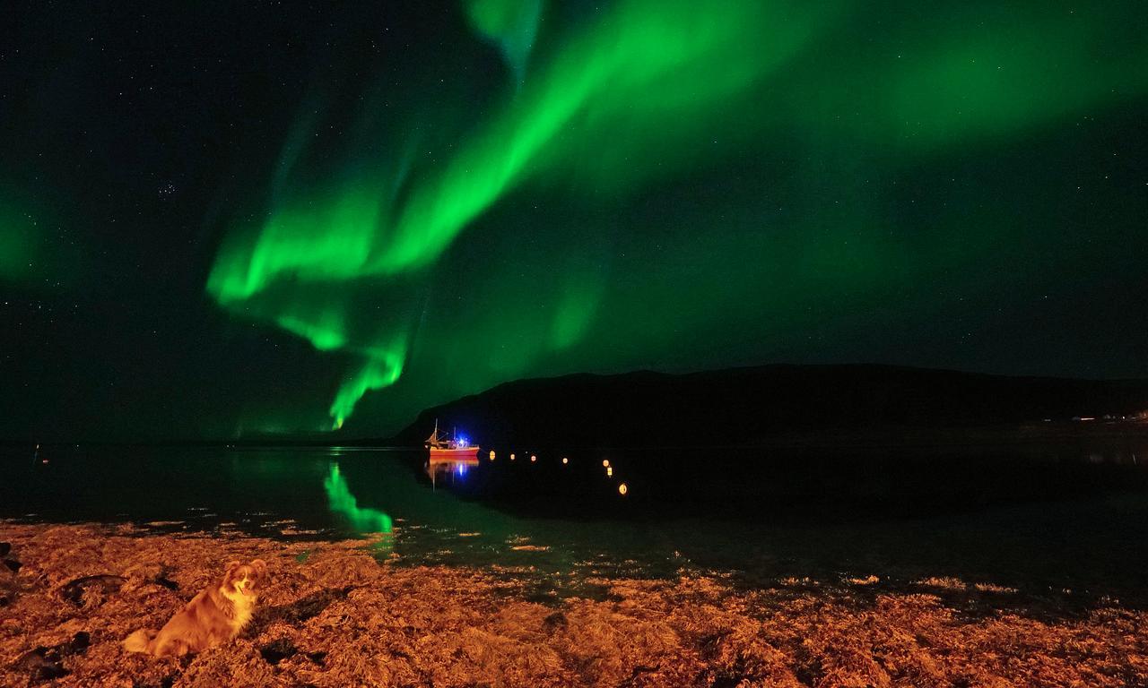 Rivdnji Smørfjord Feriehus